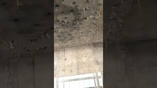 Faominjectionwaterproofing shortsvedio trendingviralshortvideo [upl. by Nosilla446]