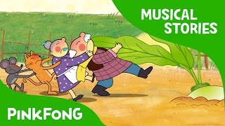 The Great Big Turnip  Fairy Tales  Musical  PINKFONG Story Time for Children [upl. by Silloh114]