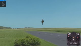 RF F117 Nighthawk Stealth Fighter Demo [upl. by Derick42]