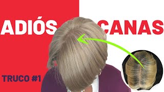 Cómo Cubrir CANAS para LOGRAR un RUBIO PLATINADO ✅ FÁCIL Y RÁPIDO [upl. by Herrod69]