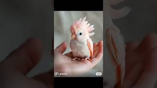 wonderful cute white mackowiak Bird [upl. by Aerdua107]