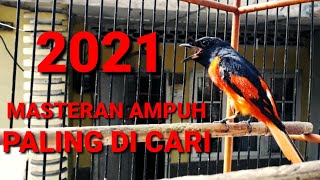 BURUNG MANTENAN GACOR  MASTERAN 2021 [upl. by Namaj231]