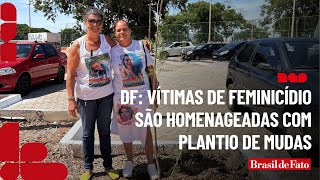 DF Vítimas de feminicídio são homenageadas com plantio de mudas [upl. by Yentterb]