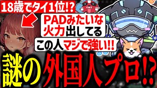 チーキーさんが連れてきた謎の18歳最強タイ人プロと年越しランクをするぼるず【VOLzZtttcheekytttKillMeTe切り抜き】 [upl. by Gwenette979]