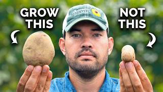 Watch This BEFORE You Plant Potatoes 🥔 [upl. by Linette]