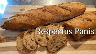 Respectus Panis Slow Bread Challenge 話題のスローブレッド レスペクチュス・パニスに挑戦！ 微量天然酵母で長時間発酵 全粒粉フランスパン バゲット バタールレシピ [upl. by Uv]