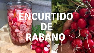 Receta Encurtido De Rábano Super Fácil 😋 encurtidoderabanos rabanos [upl. by Melodie413]