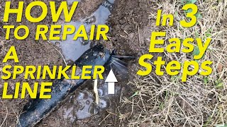 How to repair a broken punctured Sprinkler Line in 3 Easy Steps [upl. by Joline]