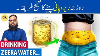 Hardin JEERA WATER Peene Ke Fayde  Cumin Seeds Water Benefits  Dr Ibrahim [upl. by Lanfri708]