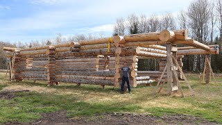 The Final Logs on the Walls  Building My Log Home Pt 17 [upl. by Atnuahc]