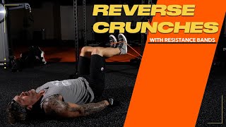 Using Resistance Bands for Abs  Reverse Crunches [upl. by Kylen]