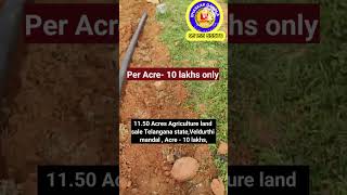 50 Acres Agriculture land sale Telangana stateVeldurthi mandal  Acre  10 lakhs [upl. by Kenna711]