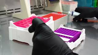 Bioeksen BioSpeedy Respiratory RT qPCR MX 24S Panel Application Video ENG [upl. by Minni]