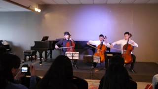 Greensleeves cello trio [upl. by Lehte738]