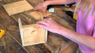 How to build a Birdhouse from scrap [upl. by Lativa]