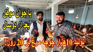 کار فارم مرغداری خالد وردک به کجا رسیده؟ I meet Khalid Wardak the Successful youth in Kabul [upl. by Nnorahs183]