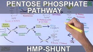 Pentose Phosphate Pathway  Hexose Monophosphate Shunt [upl. by Eanehs]