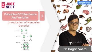 Mendelian Genetics  Principles of Inheritance amp Variation L1  Target 2020  Dr Gagan Vohra [upl. by Henleigh159]