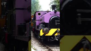 JN Derbyshire at Ribble Steam Railway Preston train [upl. by Maud618]