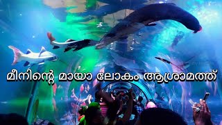 Marine world Aquashow മുഴുവൻ സ്റ്റാളുകളും കളിക്കളവും Kollam Asramam Fest Latest 2023 [upl. by Mercier]