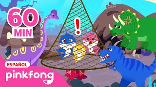 ¡ROAR¡ Dinosaurios para niños 🦖🦕  Recopilación  Pinkfong Canciones y Cuentos Infantiles [upl. by Aivat]