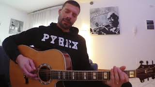 Vita Morte e Miracoli  Ligabue  Cover by Mirko Moriero [upl. by Ynahpets]