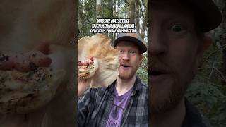 Massive Matsutake Mushroom Tricholoma murrillianum Delicious ASMR Fried Tempura Style Part I [upl. by Einahpehs]