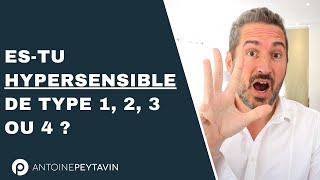 Les 4 types d’HyperSensibles [upl. by Enenej]