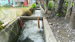 Micro hydro electric in phillipines Irrigation waterwheel [upl. by Taima]