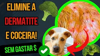 CACHORRO COM COCEIRA E DERMATITE TRATAMENTO DEFINITIVO PARA CURA DE CÃES COM MALASSEZIA E FUNGOS [upl. by Ahsiemac]