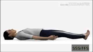 Lower Back Pain Relief  Hip and Back Pain Exercises [upl. by Rolf660]