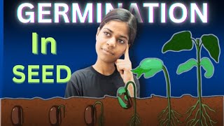 Germination in Seeds Class 10  Reproduction  Biology  MRAs [upl. by Notaes]