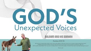 God’s Unexpected Voices  Balaam and his Donkey [upl. by Karyl325]