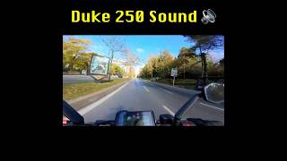 2024 Duke 250 Raw Sound ktmduke250 duke250 duke rawsound [upl. by Nestor115]