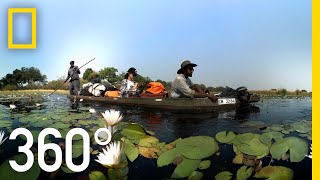 Visit the Okavango Delta in 360°  National Geographic [upl. by Diandre]