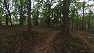 Walk Around Delville Wood [upl. by Betti]