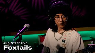 Foxtails  gallons of spiders went flying thru the stratosphere  Audiotree Live [upl. by Krebs]