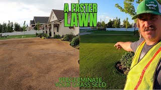 HOW TO PREGERMINATE GRASS SEED for a FASTER LAWN [upl. by Orsino174]