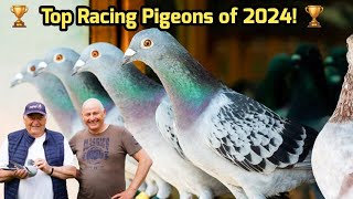 Top Racing Pigeon Winners of 2024  National Champions Belgium [upl. by Valeria]