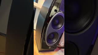 Diora acoustics Lada 7 vs Diora Polaris 300 sound compression [upl. by Alexandre]