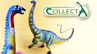 CollectA® Diplodocus Review [upl. by Mateusz]