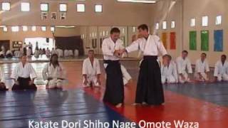 Katate Dori Shiho Nage [upl. by Ware434]