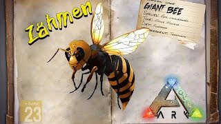 ARK‬ Survival Evolved GUIDEDeutsch  Giant Bee  Riesen Biene zähmen  Honig  Patch 257 [upl. by Anilah]