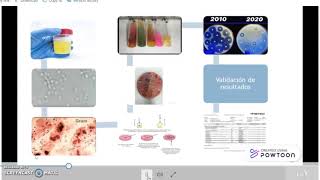 Resumen de Orientación en Microbiología Clínica UNAH [upl. by Annovy]