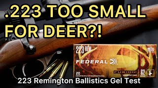 WEAKEST 223 FOR DEER 223 Remington Federal Fusion 62gr Ammo Test [upl. by Mcmath277]