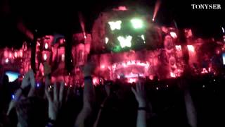 Avicii  Hey Brother Tomorrowland 2013 [upl. by Nael731]