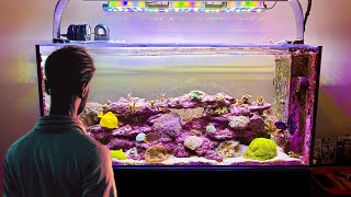 The Necessity Of Constructive SelfReflection For Success In Reefkeeping [upl. by Ibur]