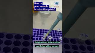 How to pour sample in microtiter plate microtiterplate laboratory microbiology [upl. by Leeland]