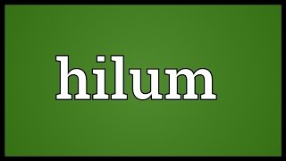 Hilum Meaning [upl. by Navonod]