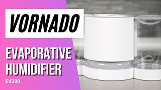 Vornado EV200 Evaporative Humidifier [upl. by Juanita900]